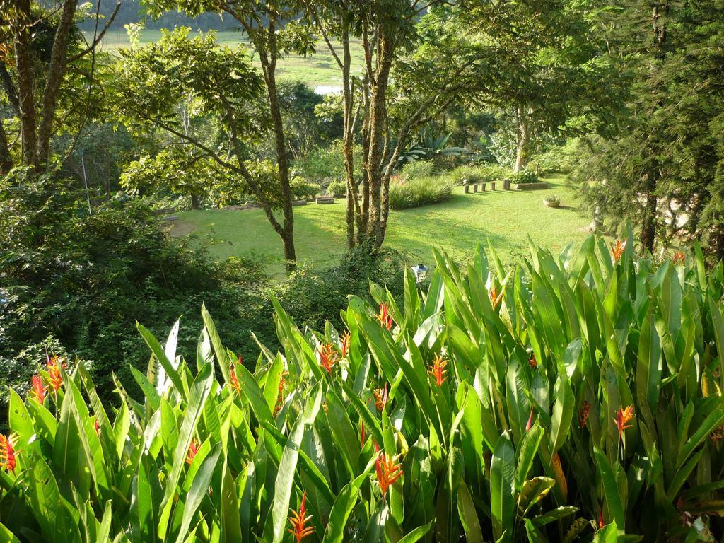 Eco Pousada Figueira Grande 皮拉卡亚 外观 照片